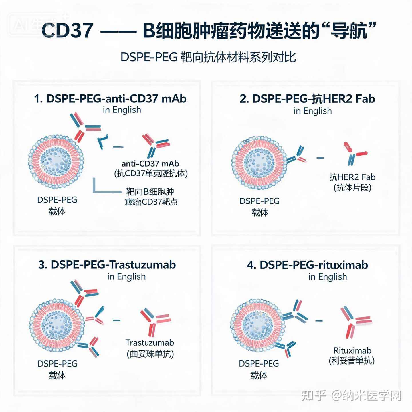 CD37，B细胞肿瘤递送药物绕不开的“导航” 关于DSPE-PEG-anti-CD37 mAb