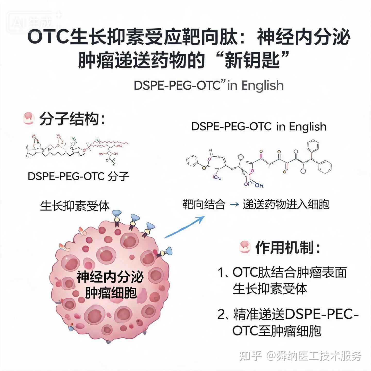OTC生长抑索受体靶向肽：神经内分泌肿瘤递送药物的“新钥匙”关于DSPE-PEG-OTC