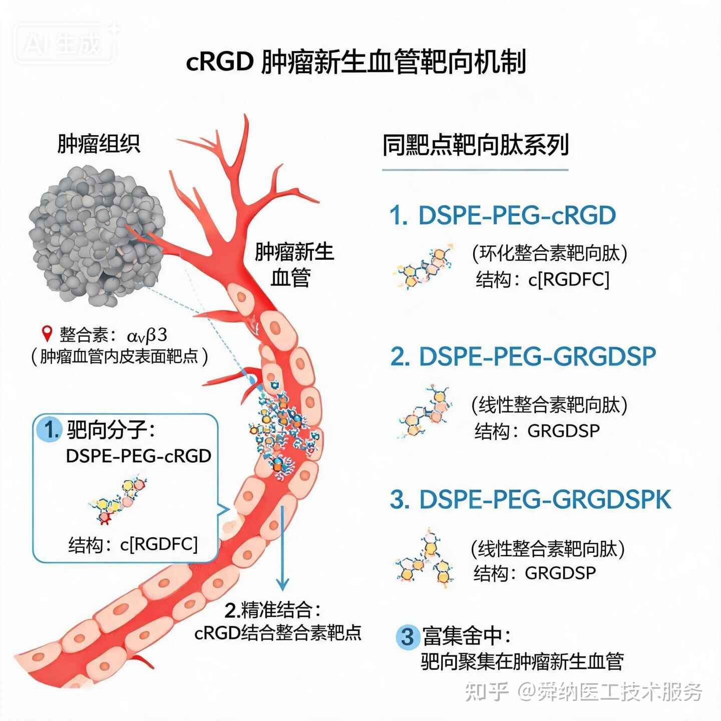 cRGD(c[RGDFC]）肿瘤新生血管靶向环肽，怎么精准命中肿瘤血管？ 关于DSPE-PEG-cRGD(c[RGDFC]）