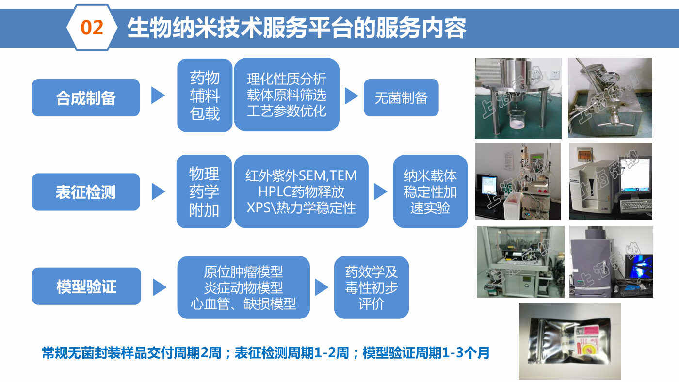 服务内容与交付周期