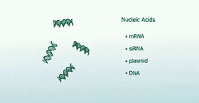 LNP Lipid-12