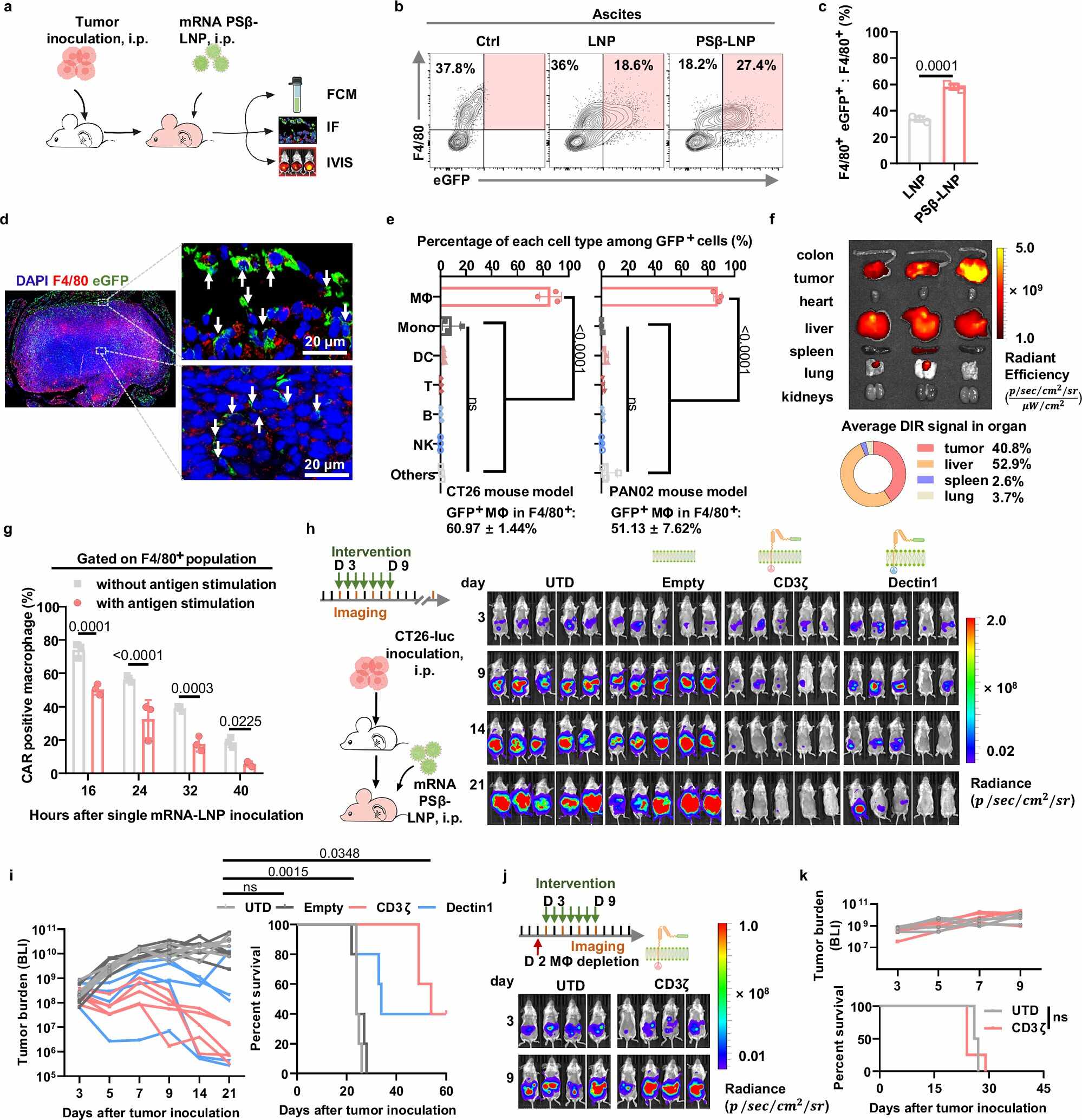 图3 In situ programming of CAR-M via intrape…