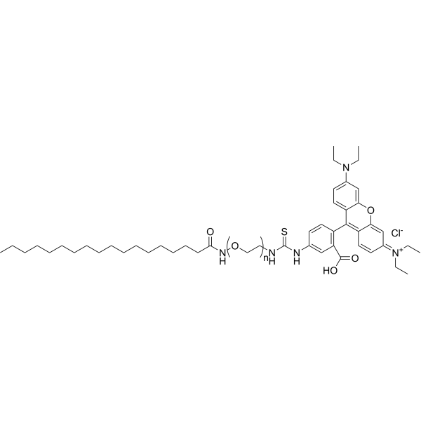 Stearic acid-PEG2000-Rhodamine