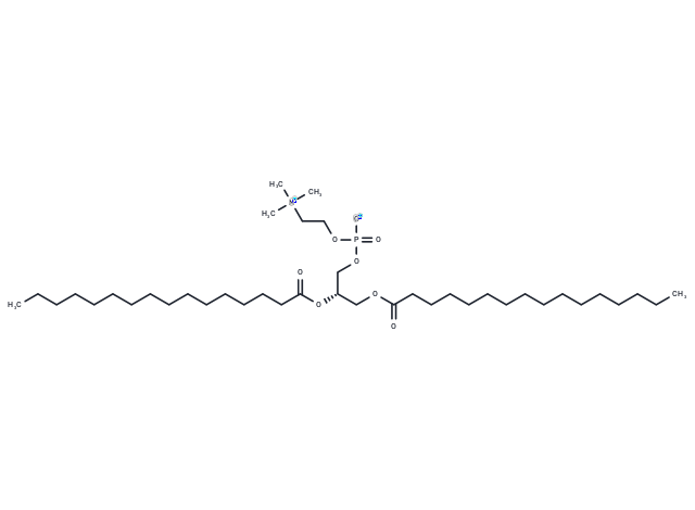 2,3-Dipalmitoyl-sn-glycero-1-phosphocholine (95%)