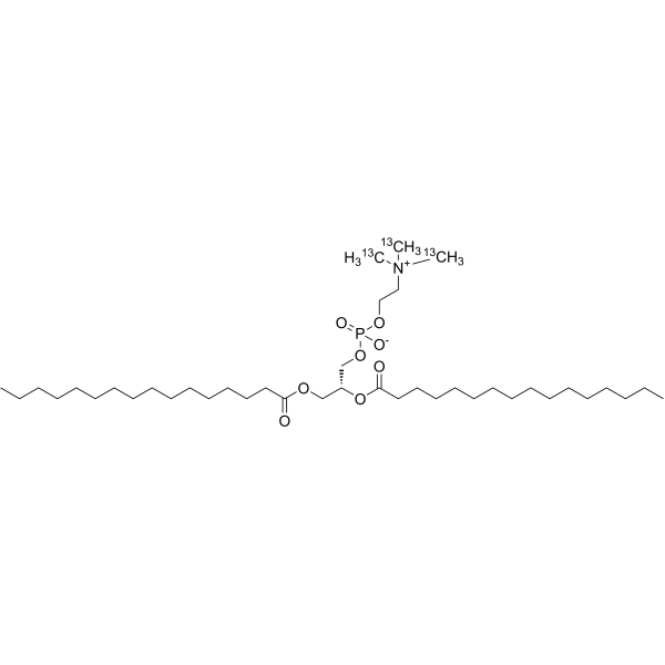 DPPC-13C