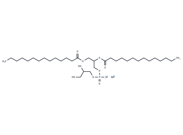 Dimyristoylphosphatidylglycerol Sodium