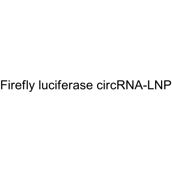 Firefly luciferase circRNA-LNP