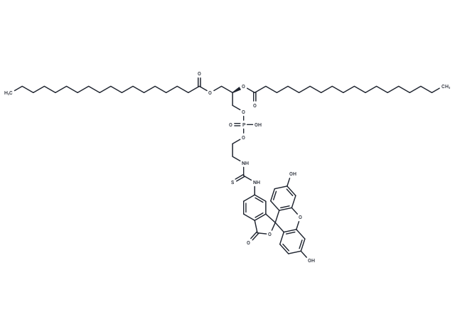 DSPE-Fluorescein