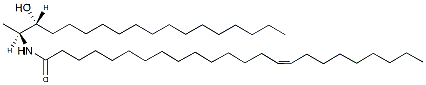 N-C24:1-deoxysphinganine