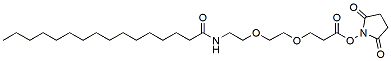 Palmitic acid-PEG2-NHS ester