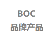 DOPG:DOPC (10:90) Anionic Liposomes（DOPG:DOPC (10:90) 阴离子脂质体）