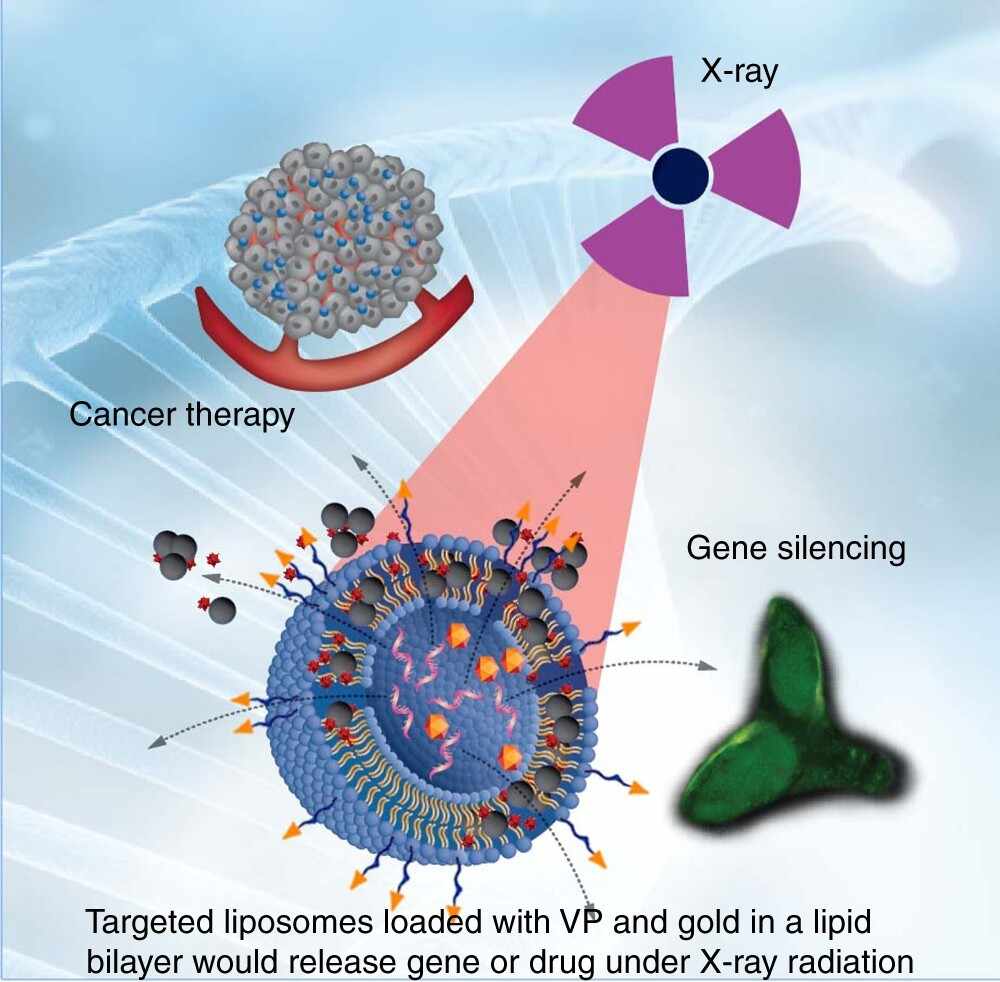 Transferrin