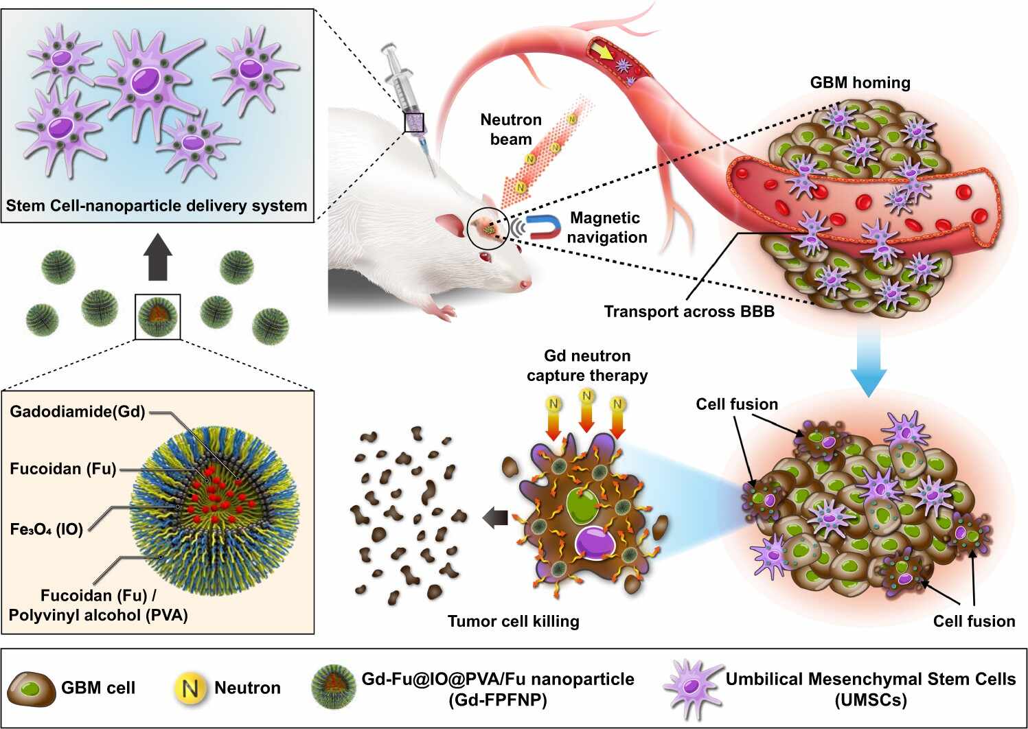 CD44
