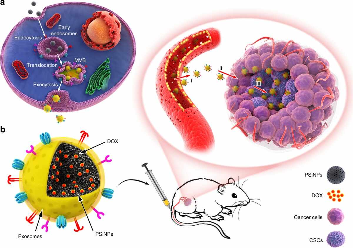 Thrombin/F2